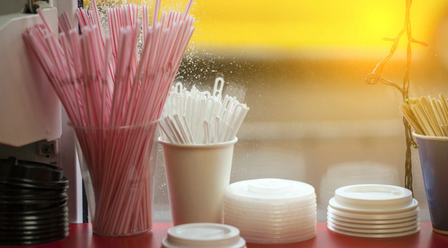 Les Etats membres de l'UE pour l'interdiction du plastique à usage unique Les Etats membres de l'UE pour l'interdiction du plastique à usage unique