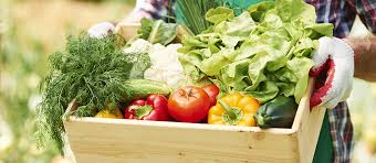Les fruits et légumes de M. Pinte Les fruits et légumes de M. Pinte
